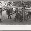 Group of men on the courthouse square, San Augustine, Texas