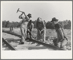 Railroad gang, Southern Paper Mill construction crew, Lufkin, Texas