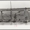 Fishing for crawfish, Opelousas, Louisiana