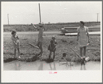 Fishing for crawfish, Opelousas, Louisiana