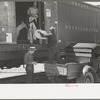 Loading strawberries into refrigerator car, Hammond, Louisiana