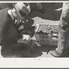 Federal inspection of strawberries, Hammond, Louisiana