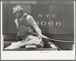 Negro strawberry farmer on top of wagon in front of refrigerator car, Hammond, Louisiana