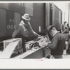 Inspecting strawberries of Negro grower at loading station, Hammond, Louisiana