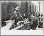 Inspecting strawberries of Negro grower at loading station, Hammond, Louisiana