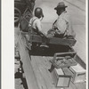 Negro strawberry grower at loading stations, Hammond, Louisiana. Many growers in this section bring in a few crates of berries at a time