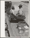 Negro strawberry grower at loading stations, Hammond, Louisiana. Many growers in this section bring in a few crates of berries at a time