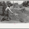 Negro mowing lawn, San Augustine, Texas