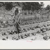 FSA (Farm Security Administration) client hoeing garden, Sabine Farms, Marshall, Texas