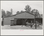 Barnyard of FSA (Farm Security Administration) client, Sabine Farms, Marshall, Texas