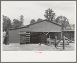 Barnyard of FSA (Farm Security Administration) client, Sabine Farms, Marshall, Texas