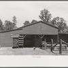 Barnyard of FSA (Farm Security Administration) client, Sabine Farms, Marshall, Texas