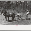 Getting ready to snake a log in land clearing operations, Sabine Farms, Marshall, Texas