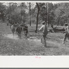 Snaking a log in land clearing operations, Sabine Farms, Marshall, Texas