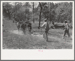 Snaking a log in land clearing operations, Sabine Farms, Marshall, Texas