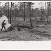 Clearing land, Sabine Farms, Marshall, Texas