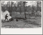 Clearing land, Sabine Farms, Marshall, Texas
