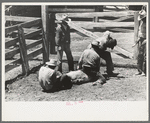 Activity in the branding pen on cattle ranch near Marfa, Texas