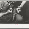 Sewing foot of boot onto sole of Goodyear welt system. Cowboy boot shop, Alpine, Texas