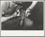 Sewing foot of boot onto sole of Goodyear welt system. Cowboy boot shop, Alpine, Texas