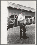 Cowboy with rope on cattle ranch near Spur, Texas