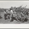 Wagon load of wood for cooking. Cattle ranch near Spur, Texas