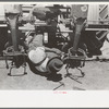 Adjusting plow points on tractor-drawn planter, large farm near Ralls
