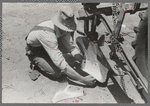 Day laborer adjusting plow points on tractor-drawn planter, near Ralls, Texas