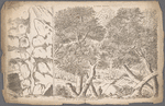 A wood scene for toy theatre including rock wings, published by J. H. Jameson