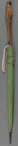 Green umbrella with a parrot-headed handle, like that carried by Mary Poppins