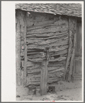 Detail of Mexican house made of sticks and mud. Corn grinder is on post in front. Crystal City, Texas