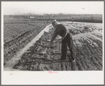 Irrigating land, El Indio, Texas