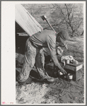 Mexican land grubber in front of his camp, El Indio, Texas