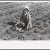 Child of white migrant strawberry picker, Hammond, Louisiana