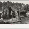 Migratory strawberry pickers camp on outskirts of Hammond, Louisiana. Boy carrying springs had just obtained them at city dump. These springs are used for beds