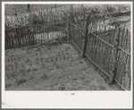 Gardens in east Texas are protected from rabbits and dogs by fence. Near Jefferson, Texas