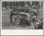 White migrant strawberry picker unloading automobile cushion springs from trailer. These will be used as bed springs. Hammond, Louisiana