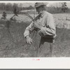 East Texas farm owner rolling up old barbed wire near Harleton, Texas