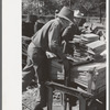 Young boy packing shingles at small mill near Jefferson, Texas