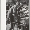 Young boy packing shingles at small mill near Jefferson, Texas