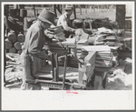 Young boy packing shingles at small mill near Jefferson, Texas