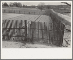 Garden enclosed by picket fence to keep out rabbits, pigs, dogs, chickens, etc. near Marshall, Texas