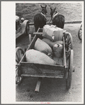 Farmer's wagon in town, San Augustine, Texas