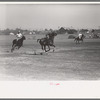 Activity during polo match, Abilene, Texas