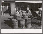Grocery boy leaning on basket of peaches, Muskogee, Oklahoma