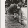 Sheridan County, Kansas, farmer digging in the dirt to see how deep the moisture is