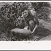Mr. Shoenfeldt holding a watermelon grown in his tile garden. Tile gardens are an important part of the FSA subsistence farm program. He had vegetables and melons while his neighbors had none this year. Sheridan County, Kansas
