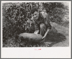 Mr. Shoenfeldt holding a watermelon grown in his tile garden. Tile gardens are an important part of the FSA subsistence farm program. He had vegetables and melons while his neighbors had none this year. Sheridan County, Kansas