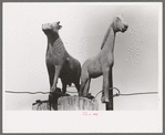 Weather vanes, Sheridan County, Kansas