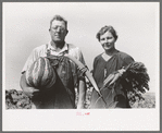 William Rall, FSA (Farm Security Administration) client standing amidst kaffir corn on his farm in Sheridan County, Kansas